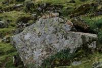 Deratisation (9)